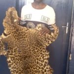 Trois-presumes-braconniers-devant-leurs-juges-a-Dolisie-et-a-Sibiti