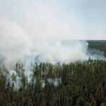 w980-p16x9-2020-07-10t000000z_2128831674_rc2cqh9y7tmf_rtrmadp_3_russia-fires-siberia_0